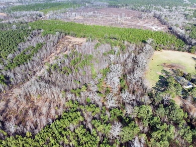 0 Rafting Creek Twns unit 201095, Rembert, SC 29128 - photo 2