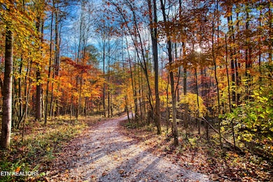 1192 Shellotte Loop, Pall Mall, TN 38577 - photo 2