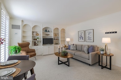 333 2nd St NE unit 206B, Washington, DC 20002 - photo 2