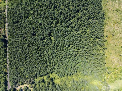 0 Kiser Rd unit 24178603, Ethel, WA 98542 - photo 4