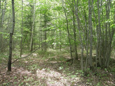 M10L4 Stone Bridge Rd, Garland, ME 04939 - photo 5