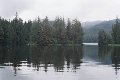 Lot 5 Thom's Place unit 1 Block 4, Wrangell, AK 99929 - photo 4