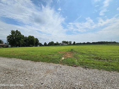 108 Whitaker Rd, Milton, KY 40045 - photo 3