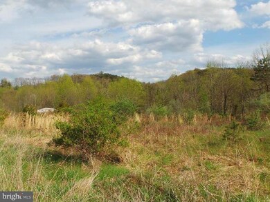 13 Amulet Dr, Berkeley Springs, WV 25411 - photo 5