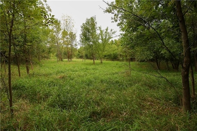 TBD SE Hwy Pp N A, Warrensburg, MO 64093 - photo 4