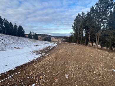 Lot 21 Summit Pass unit Dakota Highland Esta, Whitewood, SD 57793 - photo 5