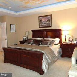 7219 Darby Downs, Elkridge, MD 21075 - photo 7