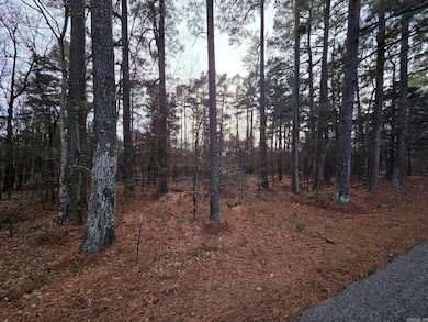 14 acres off Verkler Ln, Searcy, AR 72143 - photo 4