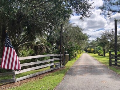 2991 Bateman Rd, Alva, FL 33920 - photo 2