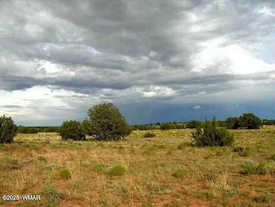 6322 Dry Pasture Run unit Lot 298, Heber, AZ 85928 - photo 2