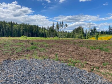 145 Nando Ln, Chehalis, WA 98532 - photo 3