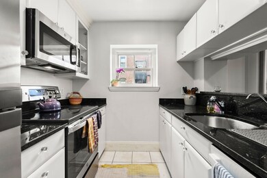 80 W Concord St unit 5, Boston, MA 02118 - photo 7