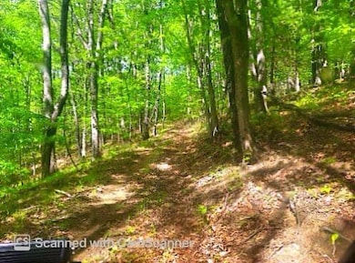 trail