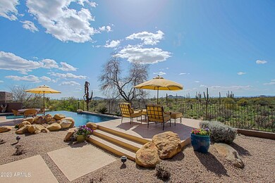 Backyard 3