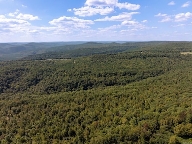 000 Hwy 65, Clinton, AR 72031 - photo 5