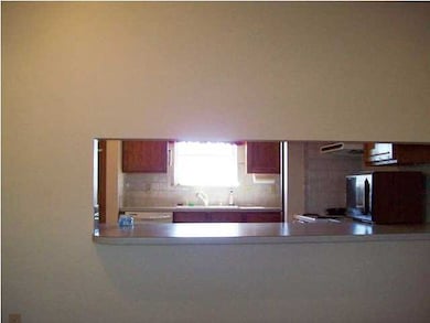 Pass-through from kitchen to living room