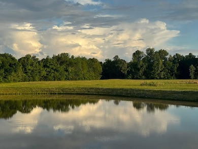 410 Cypress Village Ln, Oakland, TN 38060 - photo 7