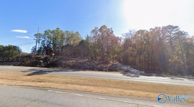 Lot 1 Madison Blvd, Madison, AL 35758 - photo 2