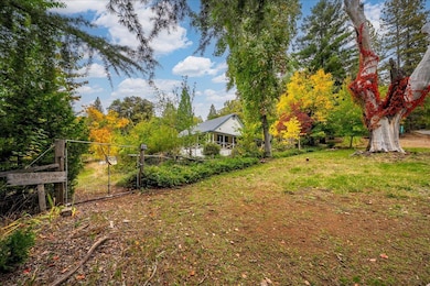 9501 Grizzly Flat Rd, Grizzly Flats, CA 95636 - photo 4