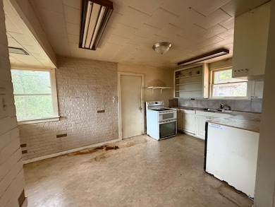 9819 Dyerville Loop Rd, Myers Flat, CA 95554 - photo 3