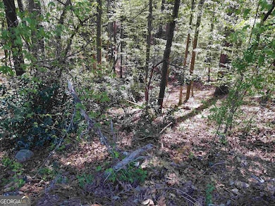 1987 Long Ridge Dr, Macon, GA 31211 - photo 3