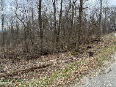 0 Walker Mountain Rd, Cookeville, TN 38506 - photo 3