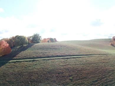 DJI_0304