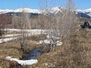 Dry Ridge pic 5