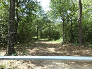 31375 Joseph Rd, Hockley, TX 77447 - photo 2