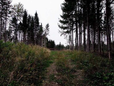 Land.