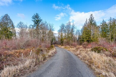 0 U S 12 unit Lot 2 NWM2273307, Napavine, WA 98532 - photo 4
