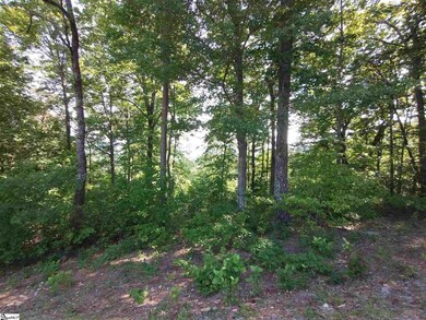 19 Timbers Edge Way, Travelers Rest, SC 29690 - photo 2