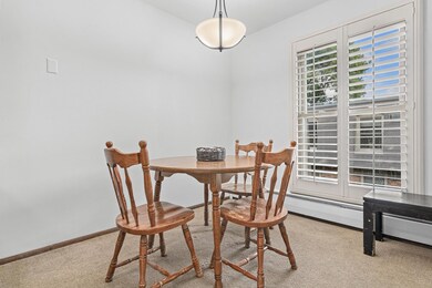 807 11th Ave S unit 6, Hopkins, MN 55343 - photo 7