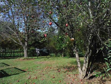 Yard/Garden