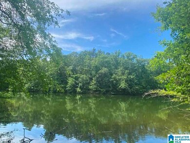 0 County Road 99 unit 39 Acres 1293078, Wedowee, AL 36278 - photo 4