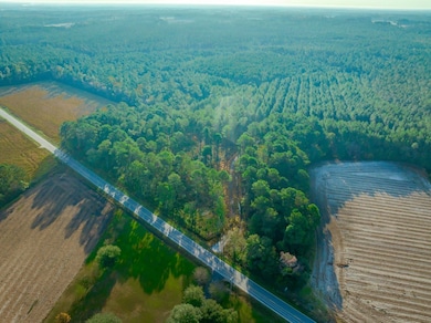 Hwy 45, Loris, SC 29569 - photo 2