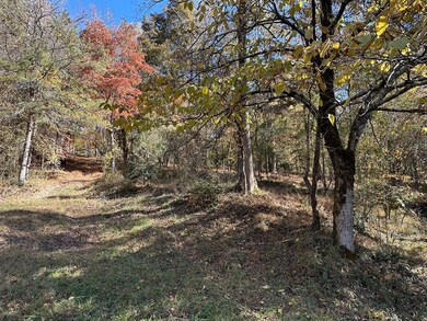 LOT 8 Clear Creek Preserve Way, Ellijay, GA 30536 - photo 2
