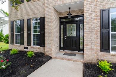 Kingfisher Listing-6