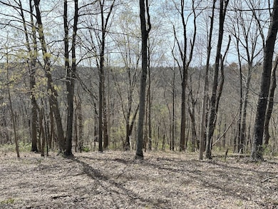 0 Chesterville Rd unit Lot WP001 23687476, Mineral Wells, WV 26150 - photo 2