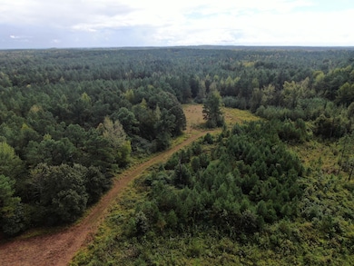 Mt Gilead Rd, Holly Springs, MS 38635 - photo 6