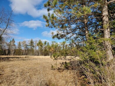 27548 S River Rd, Webb Lake, WI 54830 - photo 2