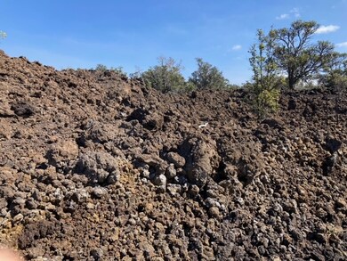 Lot sits up from the street and has some small trees