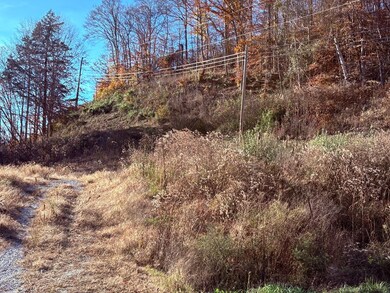 0 None unit 126826, Hager Hill, KY 41222 - photo 4