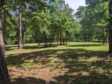 000 Water View Dr, Lincolnton, GA 30817 - photo 4