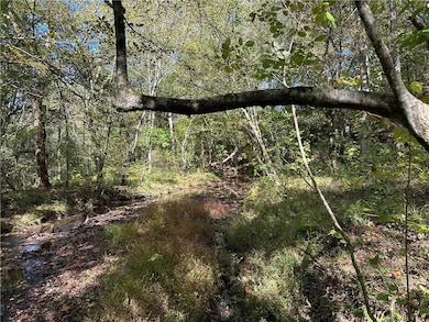 1849 Prior Station Rd, Cedartown, GA 30125 - photo 3