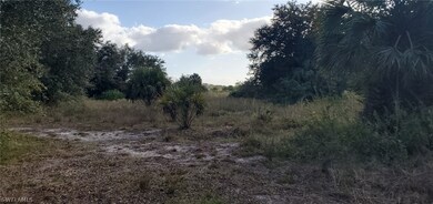 23650 Linda Lee Way, Fort Myers, FL 33913 - photo 4