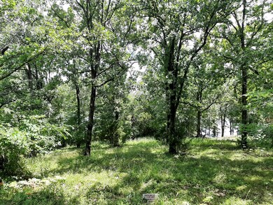 Lot 11 Silverbell Dr, Ruth B Rural Township, MO 65686 - photo 3