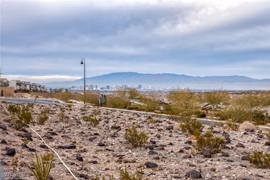 2698 Frabiele St, Henderson, NV 89044 - photo 3