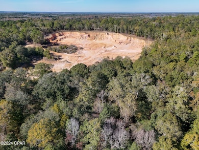 0 Malcolm Taylor Rd, Bonifay, FL 32425 - photo 3