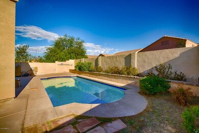 Backyard/Pool